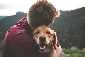 Como escolher um animal de estimação?