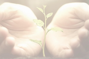 Orçamento do Estado 2020: Proteção Social - Para Onde Vamos?