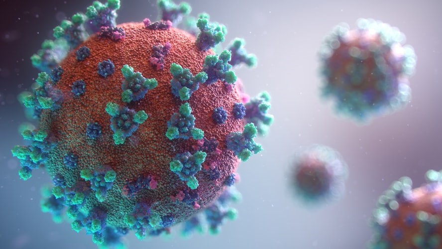 A imunidade ainda é uma incógnita. FOTO: Fusion Medical Animation / UNSPLASH