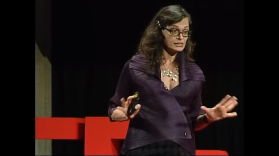 Lala numa das suas palestras no TedTalk Fonte: DR