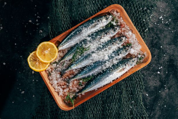 Sardinhas, um bom alimento para a longevidade - Foto: Unsplash