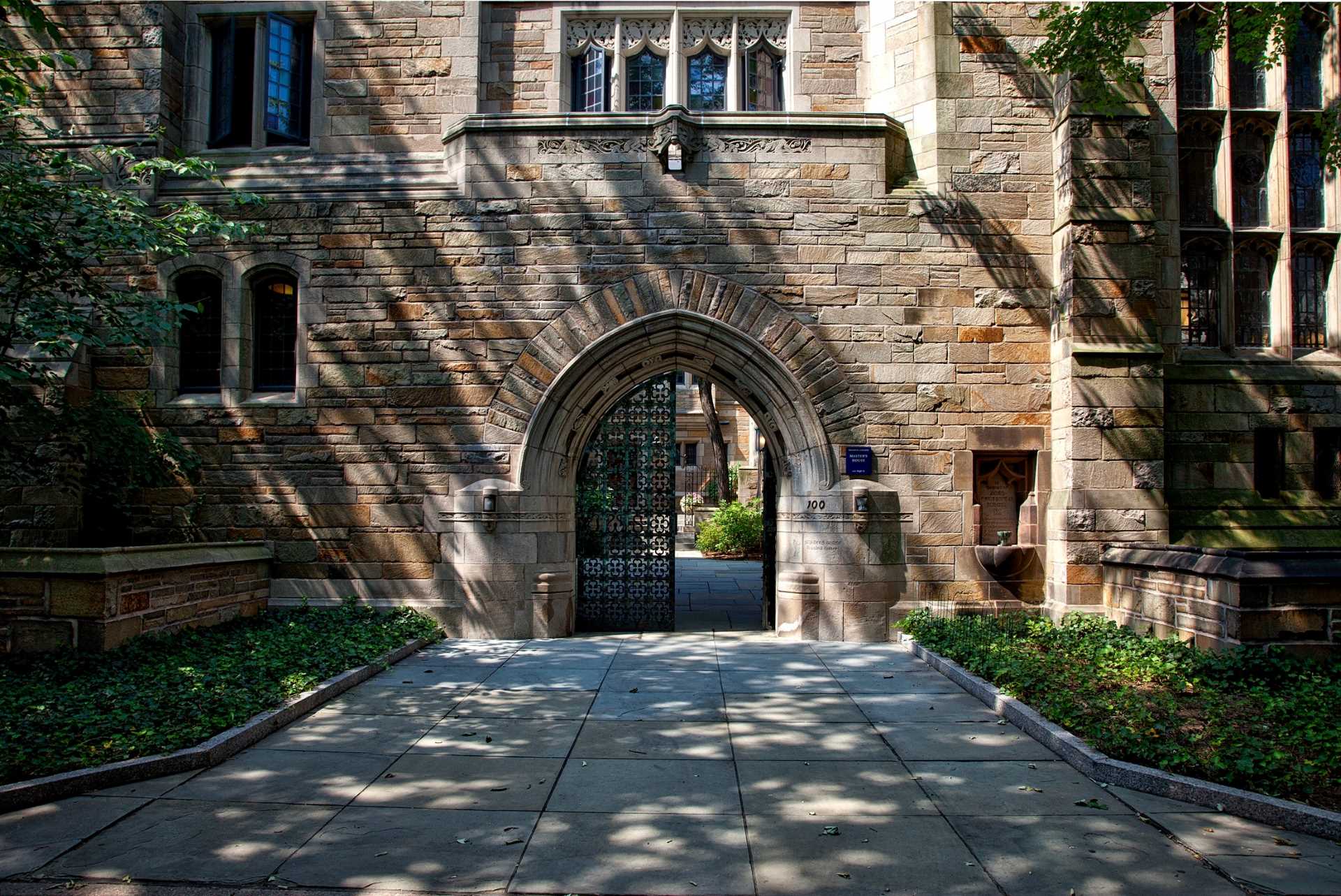 Universidade de Stanford e a longevidade Foto: Pexels
