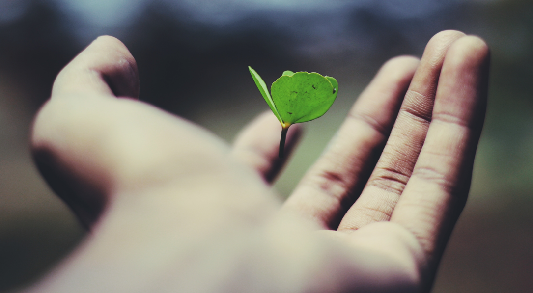 Será possível superar a longevidade de Jeanne Calment e que viveu 122 anos? FOTO: UNSPLASH